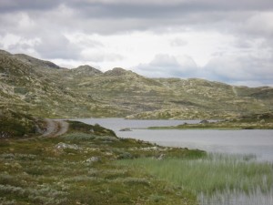Hardangervidda