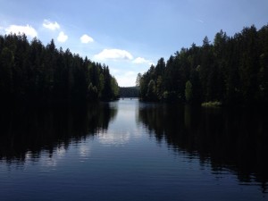 Skifjell