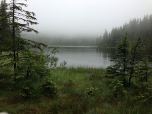Arkevann (1)
