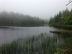 Arkevann (2)