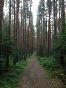 IMG_1356[1]