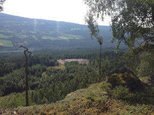 IMG_1368[1]