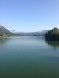 IMG_1373[1]