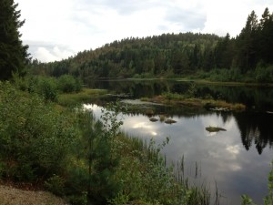 IMG_1587[1]