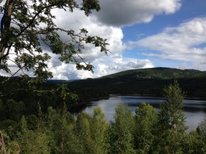 IMG_1670[1]